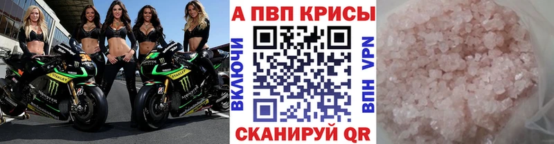 A PVP СК  Няндома 
