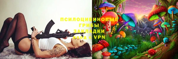 трава Аркадак